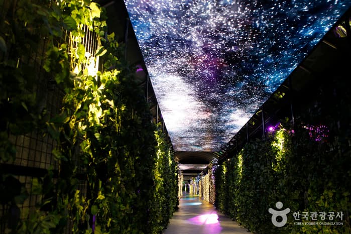 자연 속에서 즐기는 스릴 만점 레저 여행