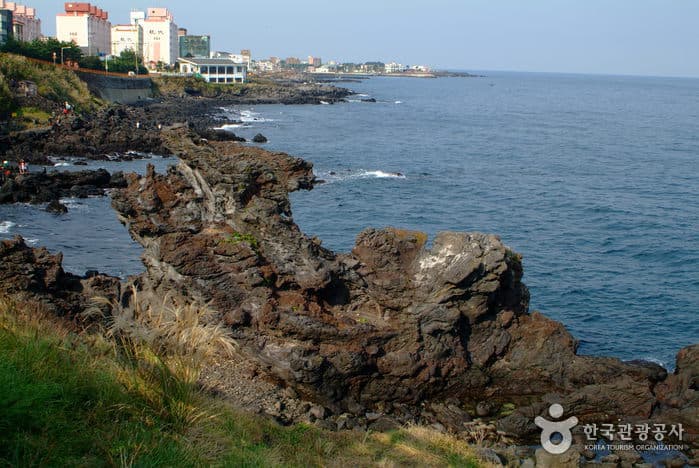 놀멍쉬멍 제주 바다 구경떠나기