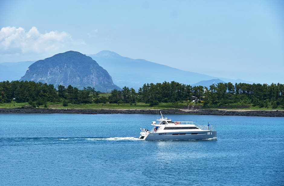 M1971 Yacht Tour (M1971요트투어)