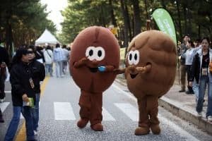 Gangneung Coffee Festival (강릉커피축제)
