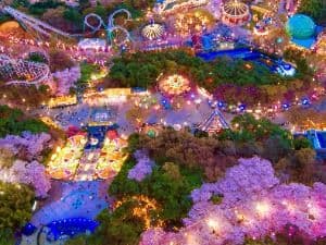 E-World Blossom Picnic (이월드 블라썸 피크닉)