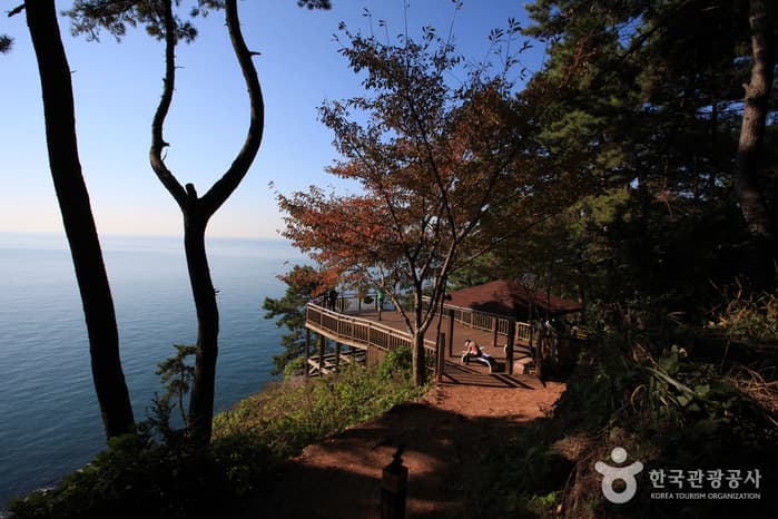 영화 마니아를 위한 로맨틱 여행