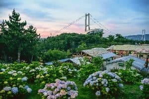 장생포 수국 페스티벌