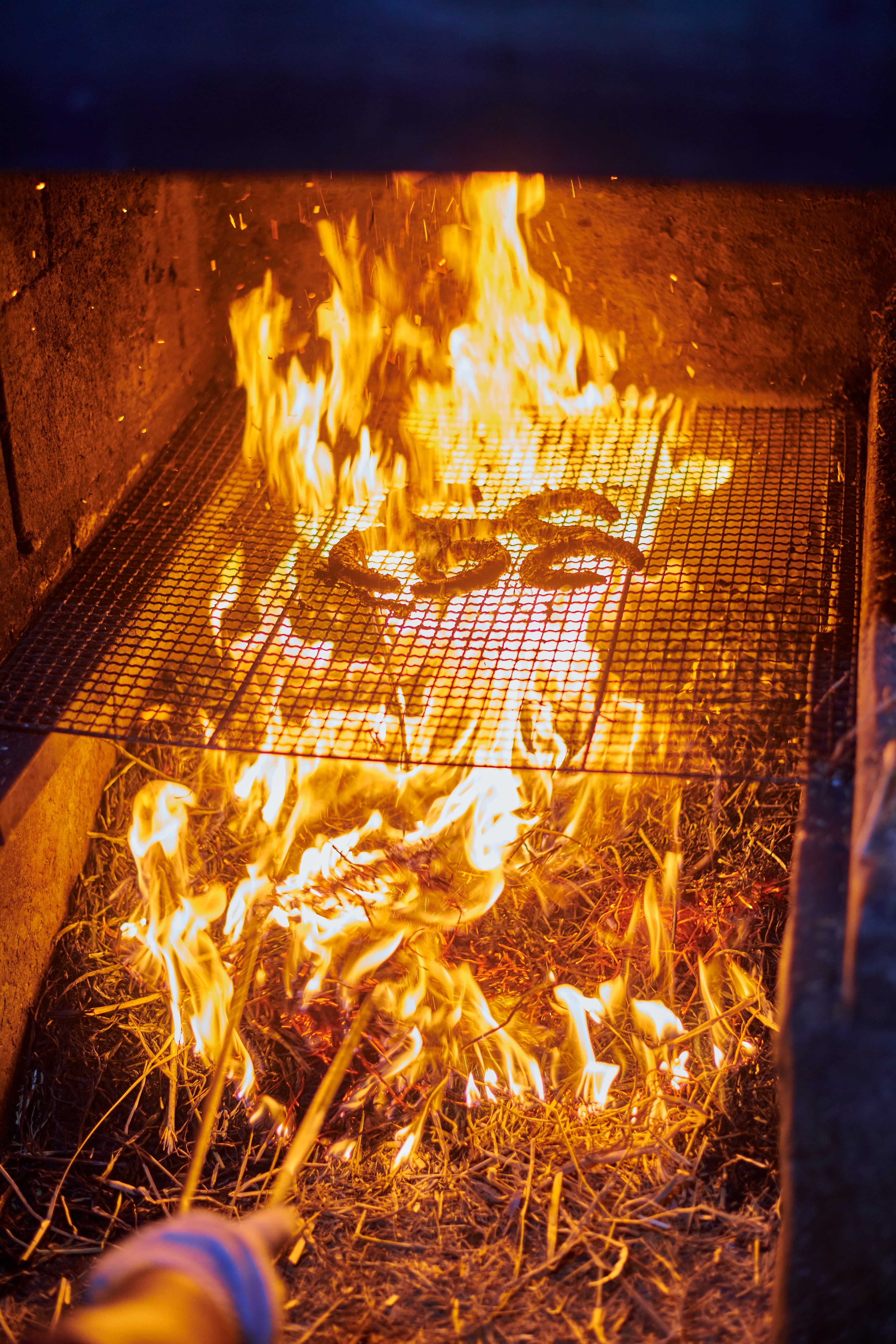 Gijang Jonggajip Gomjangeo (기장종가집곰장어)