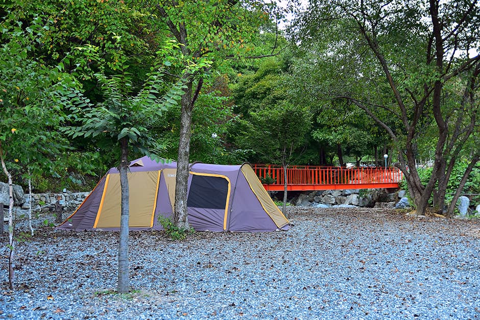 Damteo Oji Camping Ground (담터오지캠핑장)
