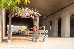 [평화누리길 8코스] 반구정길