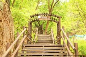 [북한산 둘레길 8구간] 구름정원길