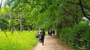 [경기옛길 영남길 제1길] 달래내고개길