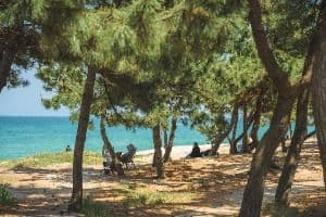 [해파랑길] 39코스(바우길 05구간)