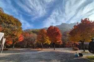 덕동골캠핑장