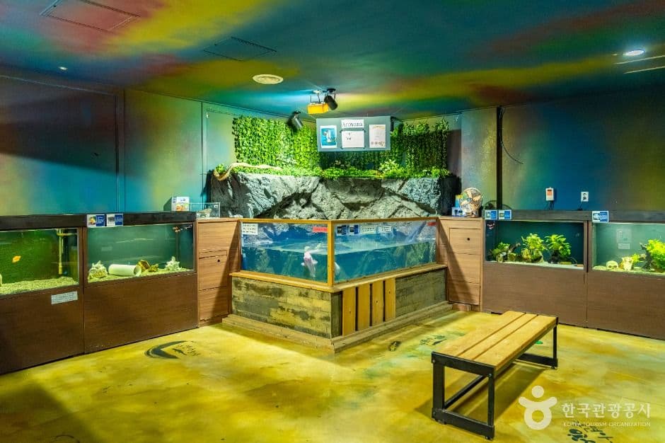 강릉생태체험박물관 자연아놀자