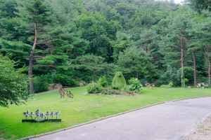 강릉 솔향수목원