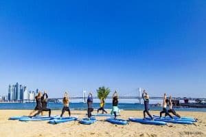 크레이지서퍼스(크레이지컬처스주식회사)