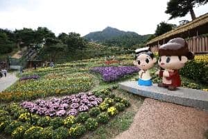 산청한방약초축제