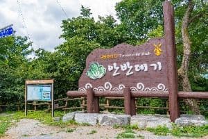 Anbandegi Village (안반데기 마을)