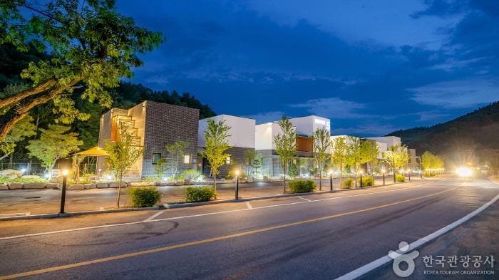 BROOK5 (브룩5(BROOK5))