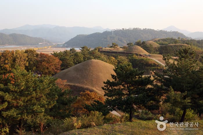 Ancient Tombs in Marisan Mountain, Haman (함안 말이산 고분군)