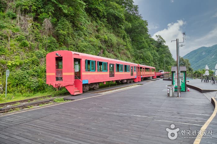 Gangchon Rail Park (Gimyujeong Railbike) (강촌레일파크 (김유정레일바이크))