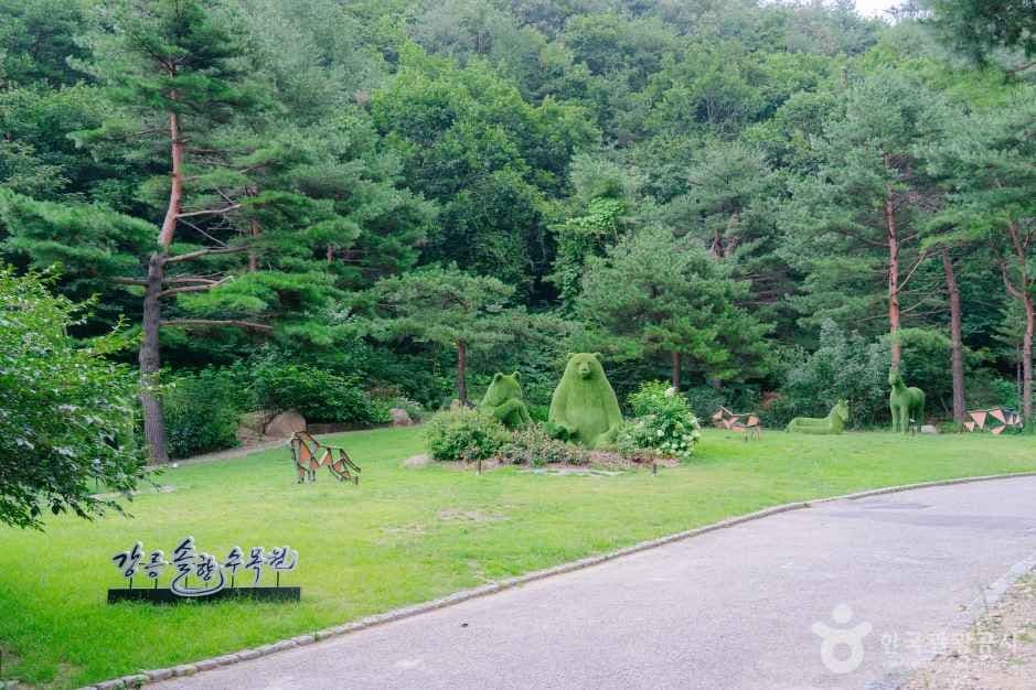 강릉 솔향수목원